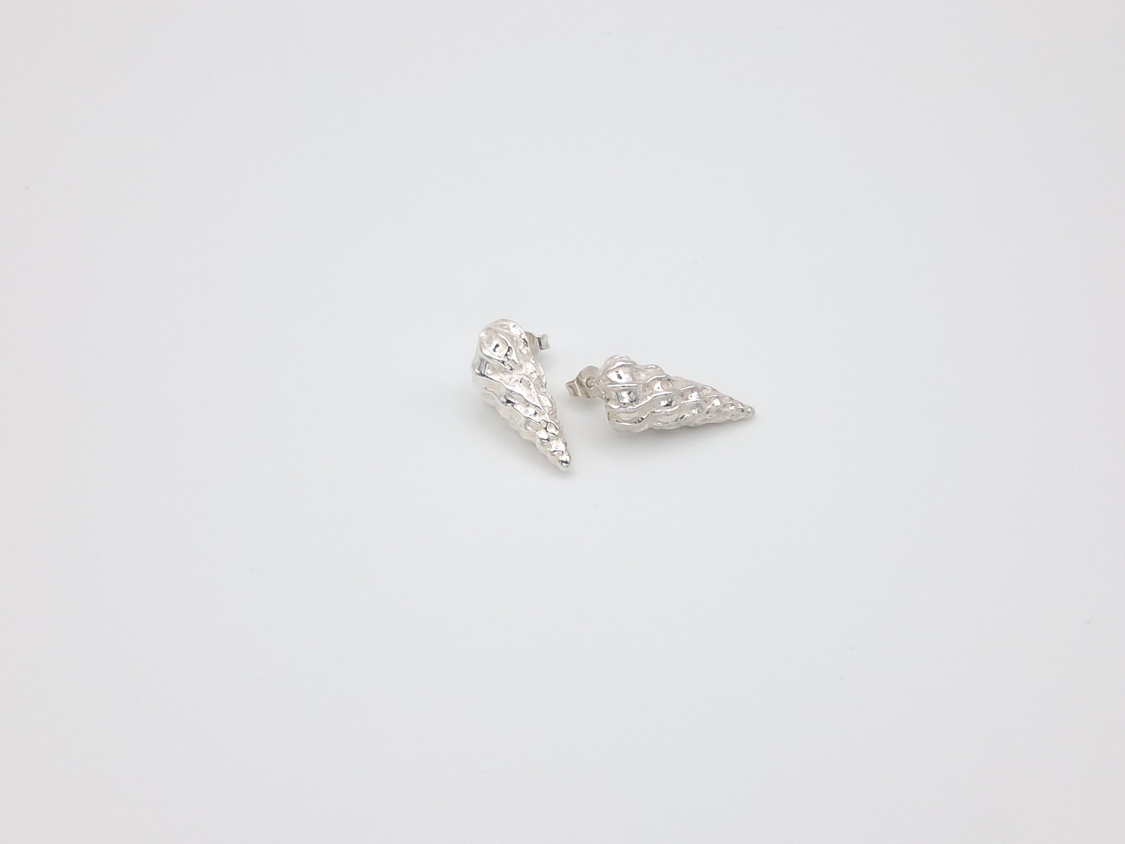 Silver shell stud earrings - Echoes of the Sea